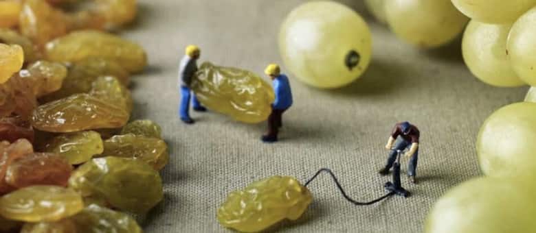 Miniature workers inflating grapes