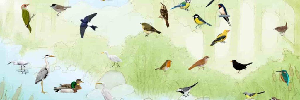 discovertheriver cover