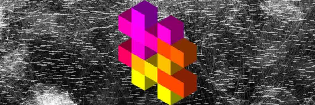 displaypurposes cover