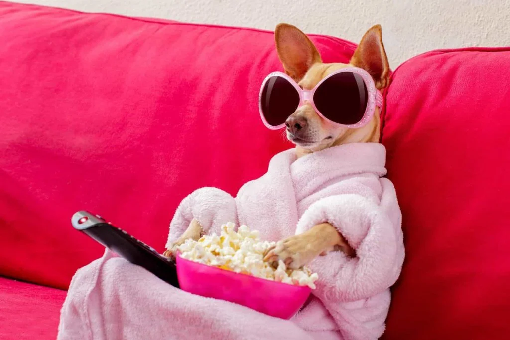 Good movie suggestions