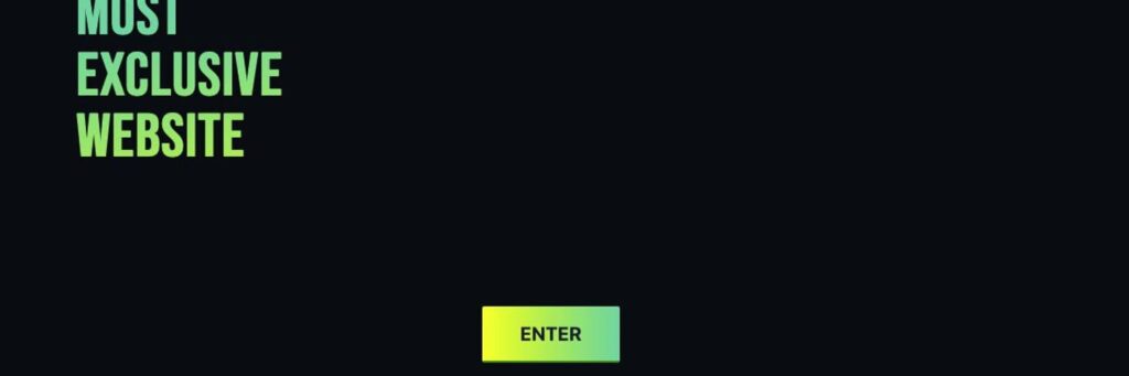 mostexclusivewebsite cover