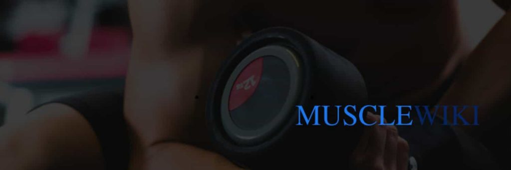 musclewiki cover