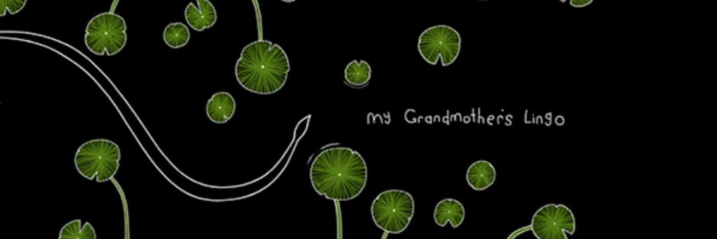 mygrandmotherslingo cover