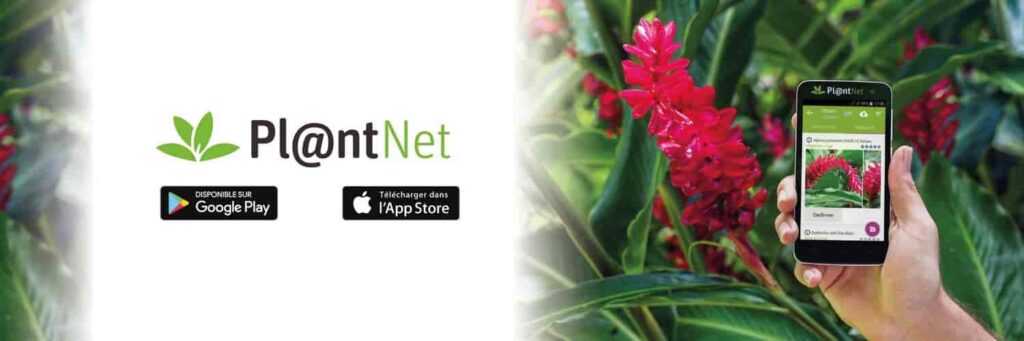 plantnet cover