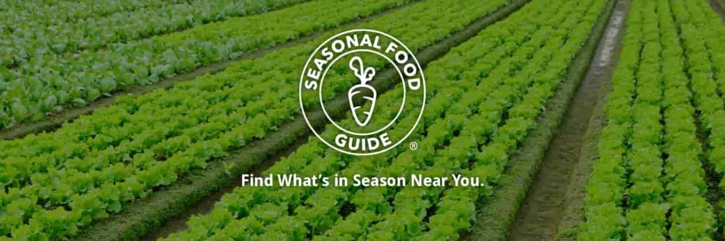 seasonalfoodguide cover