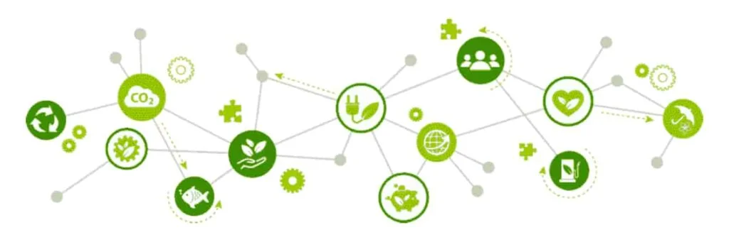 sustainabilitist cover